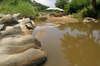 Makalali Private Game Lodge 